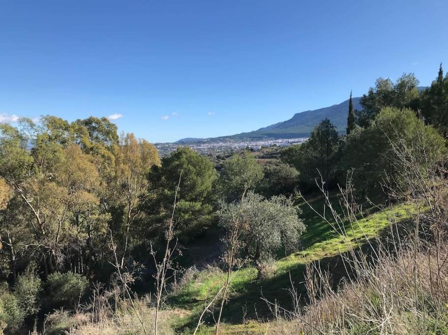 Penthouse Apartment, Cortijo Fruitful Hills Málaga Exterior foto